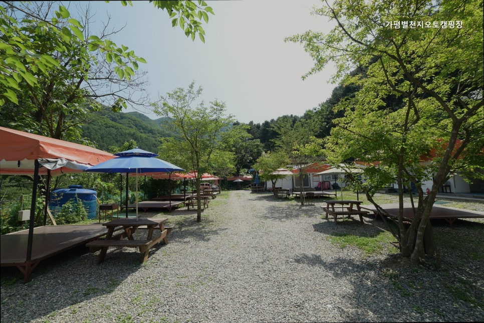 별천지오토캠핑장 사진 1