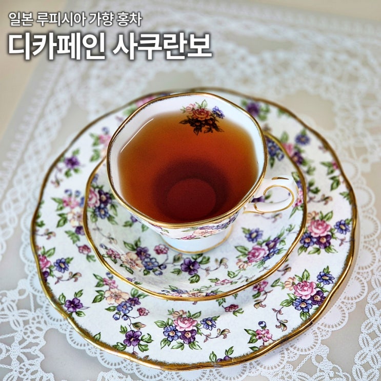  루피시아 디카페인 사쿠란보 체리향 강한 일본 홍차 리뷰