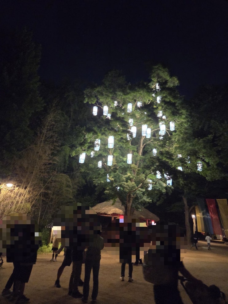  용인민속촌 야간개장, 가기 전에 이것만 알고 가세요 (3대 가족 솔직 후기)