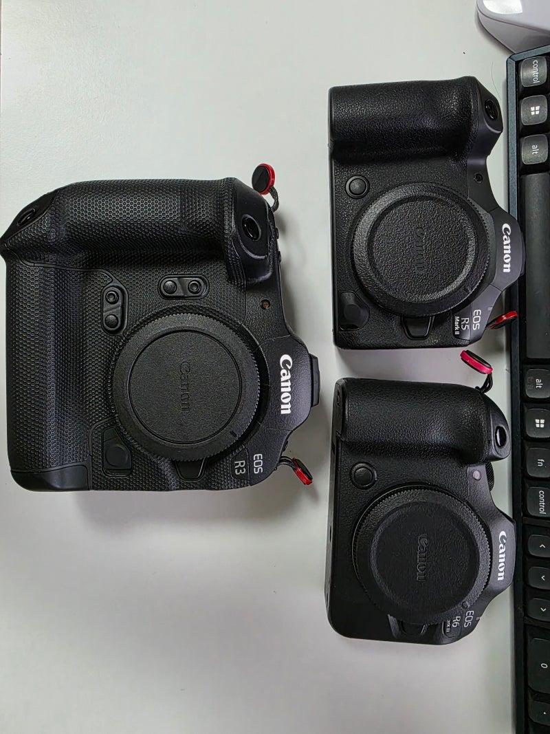 Eos R3, R6 mark2, 3, R5 mark2 훑기.