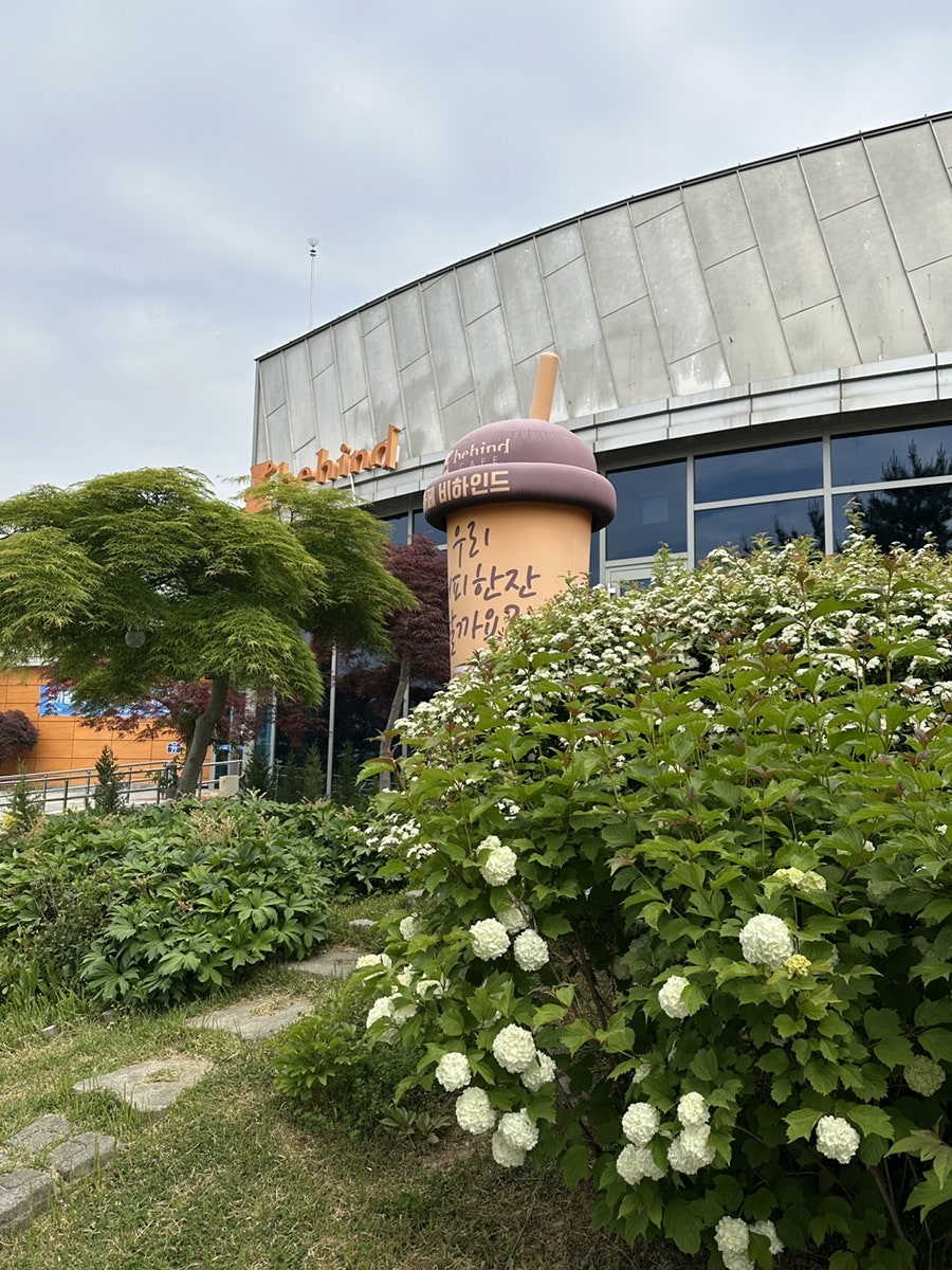 카페비하인드 사진 3