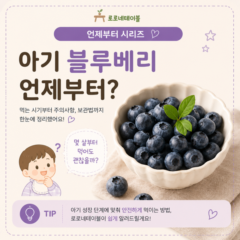 아기 블루베리 언제부터? 먹는 시기부터 양, 주의사항까지 총정리