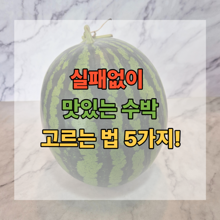  수박 샀는데 밍밍했다면? 실패 없이 맛있는 수박 고르는 법 5가지