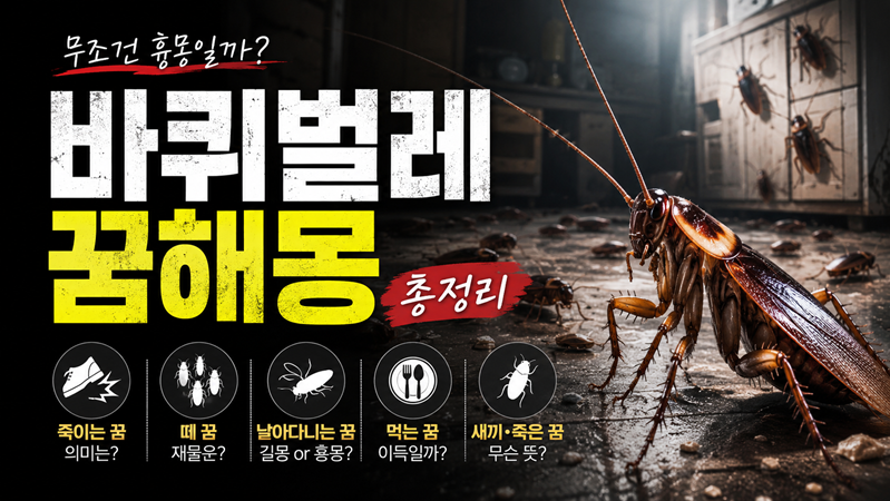 바퀴벌레 꿈해몽 총정리｜죽이는 꿈·떼 꿈·날아다니는 꿈·먹는 꿈 의미