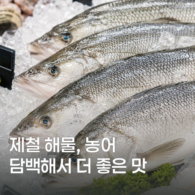 제철 농어 효능과 먹는 법 한눈에 보기