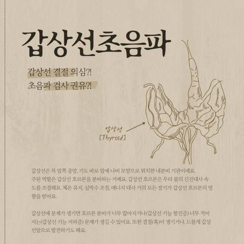 김해 안동 갑상선 초음파 목에 혹이 만져질 때 꼭 읽어보세요