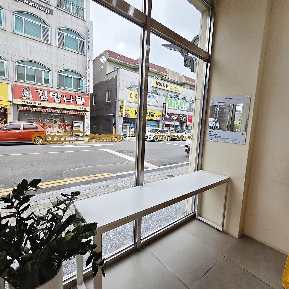 치즈당 카스테라 전남해남점 사진 5