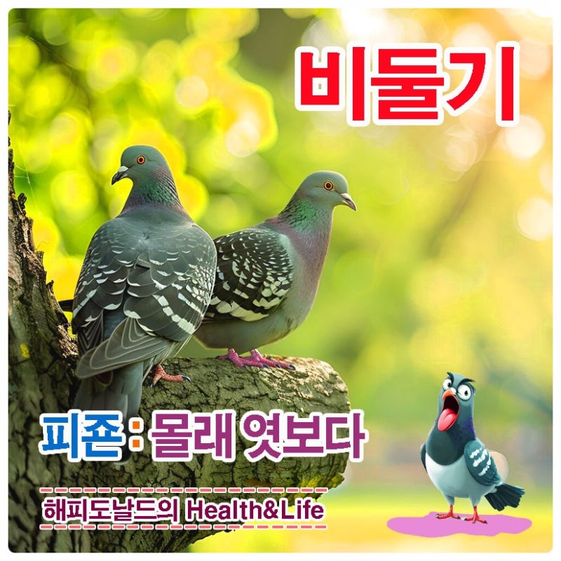 회색빌딩숲 정다운 친구..비둘기 이야기 Q&A