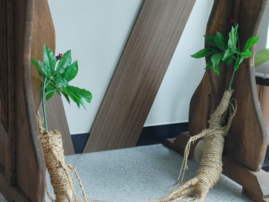 약용식물관 사진 2