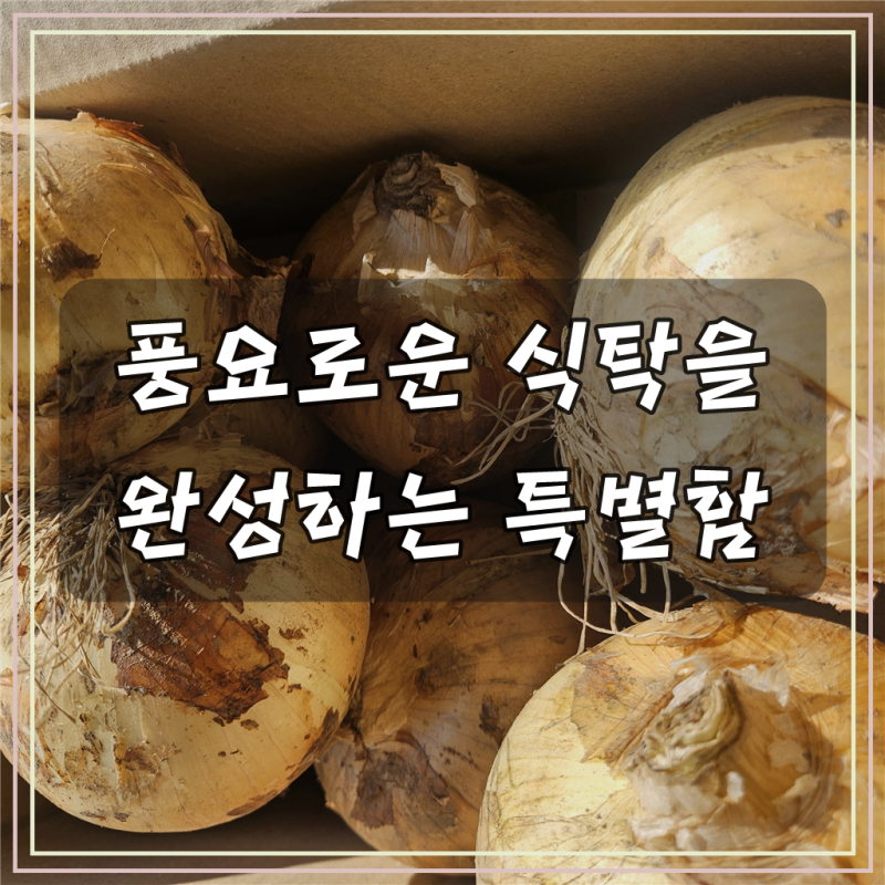 이상파머스 산지직송 무안 햇양파, 1kg부터 5kg까지, 장아찌/가정용/요리용 선택 가능!