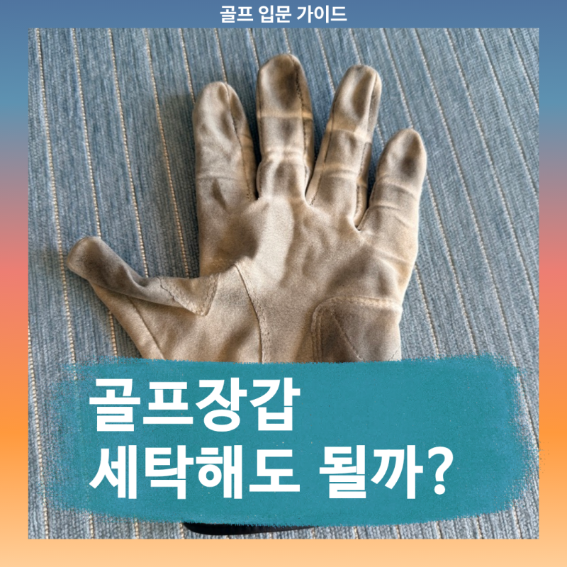 골프장갑 세탁해도 될까? 양피 vs 합성피혁 올바른 세탁 및 관리법 총정리