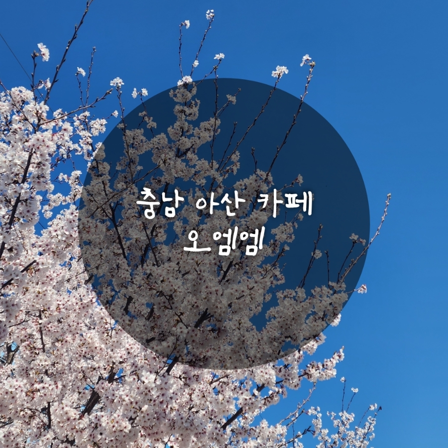 오엠엠 사진 1