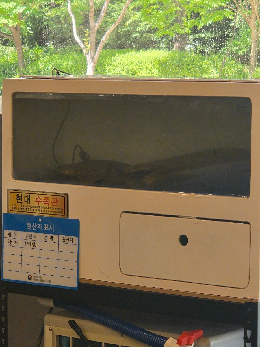 정스시 사진 6