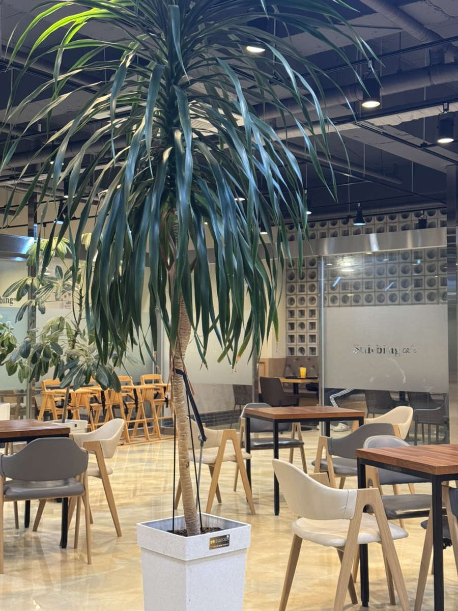 설빙 전남영암점 사진 4