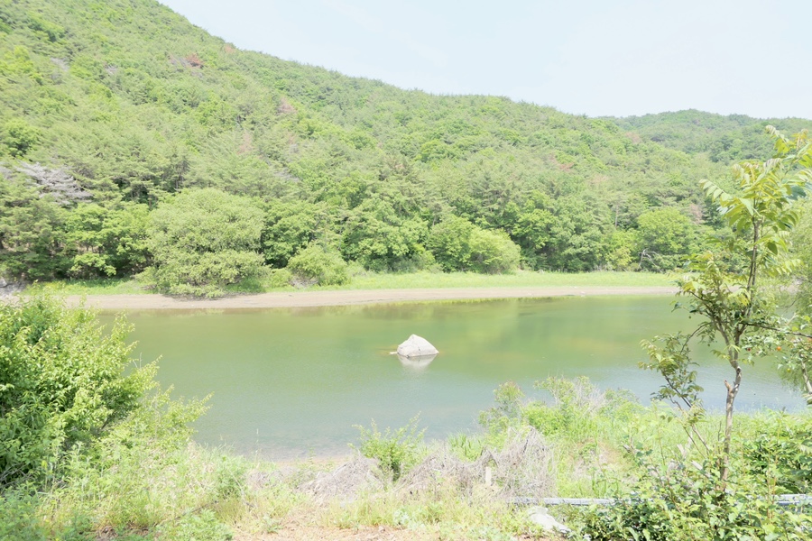 학송정 사진 2