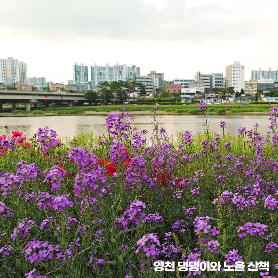 해질녘 사진 1
