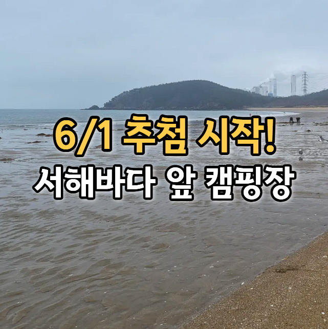  "1분 컷 서해바다 캠핑" 여름 성수기 추첨 임박 국립공원 캠핑장