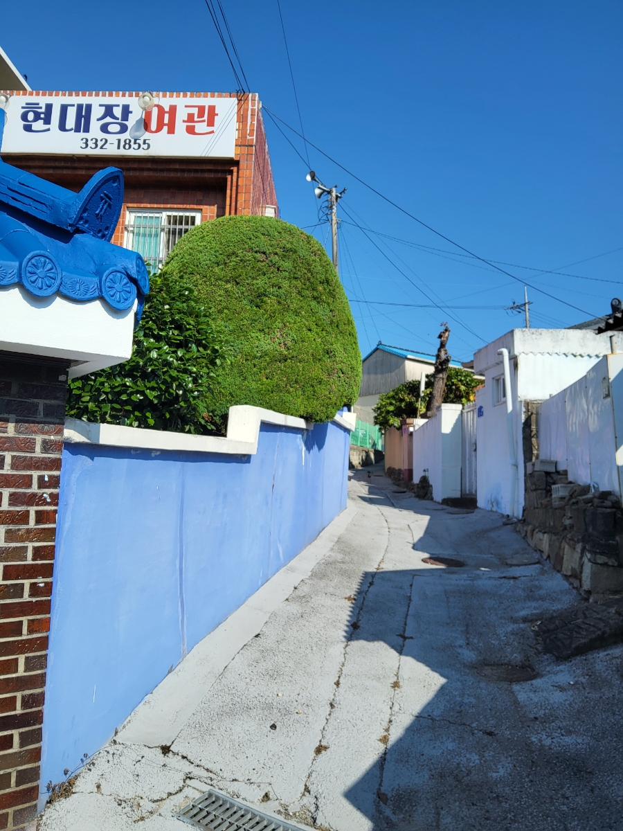 안산 사진 1