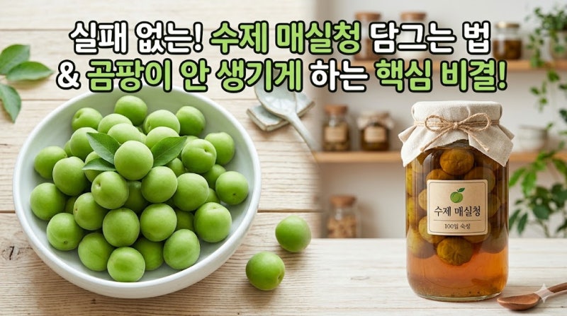수제 매실엑기스 만들기 설탕 비율과 곰팡이 안 생기게 보관하는 법