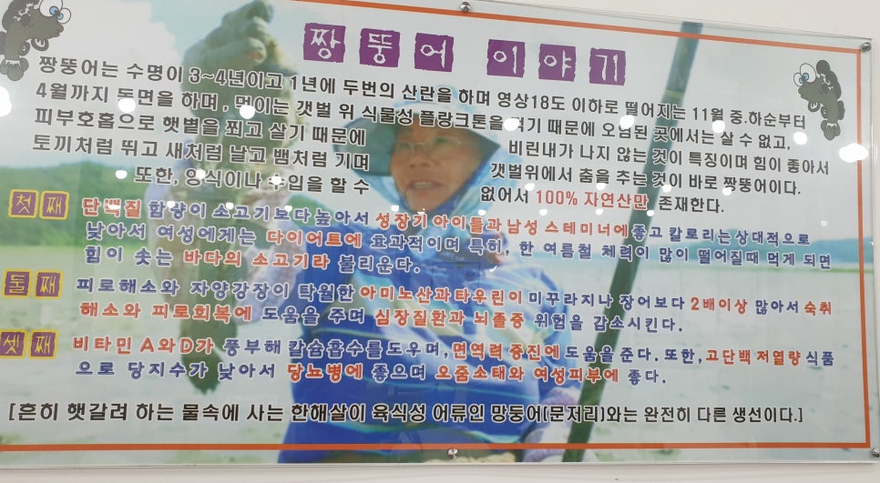 강진만갯벌탕 사진 2