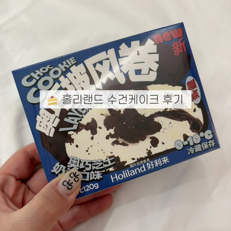  홀리랜드 수건케이크 치즈케이크 가격·보관·기내반입 후기