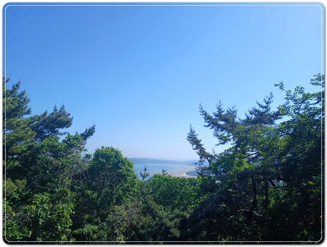 수망산 사진 5