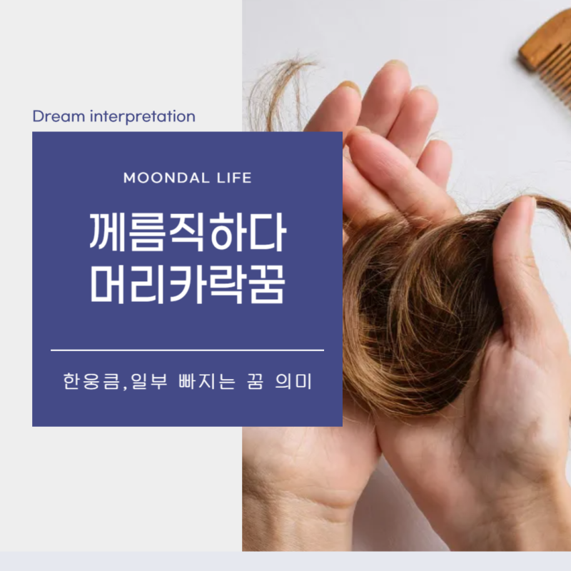 머리카락이 많이 빠지는 꿈 께름직..머리카락 한웅큼 빗질 일부만 빠지는 꿈