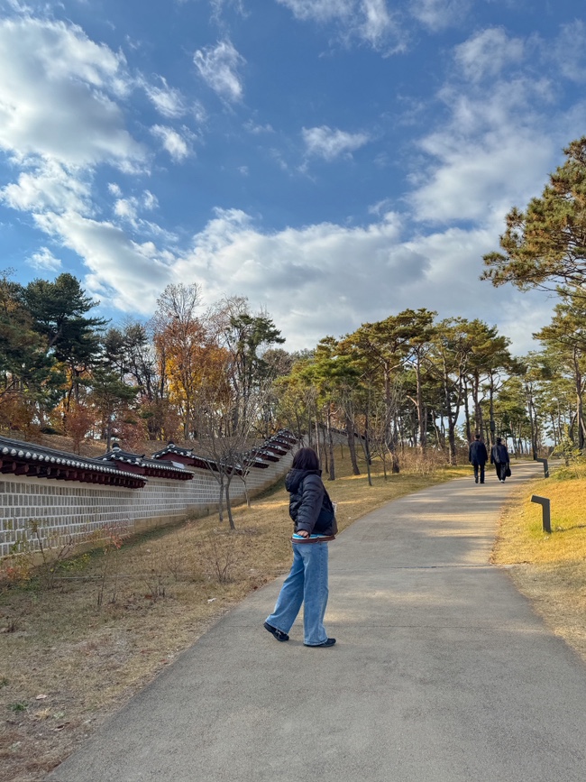  서울 데이트 창경궁 종묘 연결 산책길 율곡로 궁궐 돌담길 추천