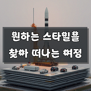 셀프 웨딩드레스 쇼핑몰 핵심만 파악하기