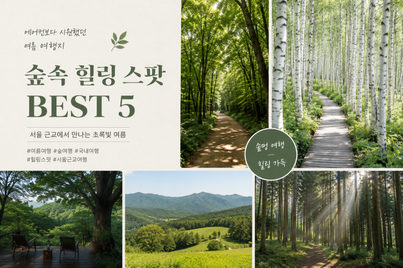 [국내여행] 서울에서 2시간, 올여름 꼭 가봐야 할 숲속 여행지 BEST 5