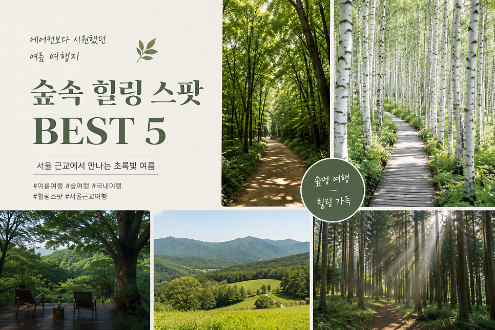 숲속여행 사진 1