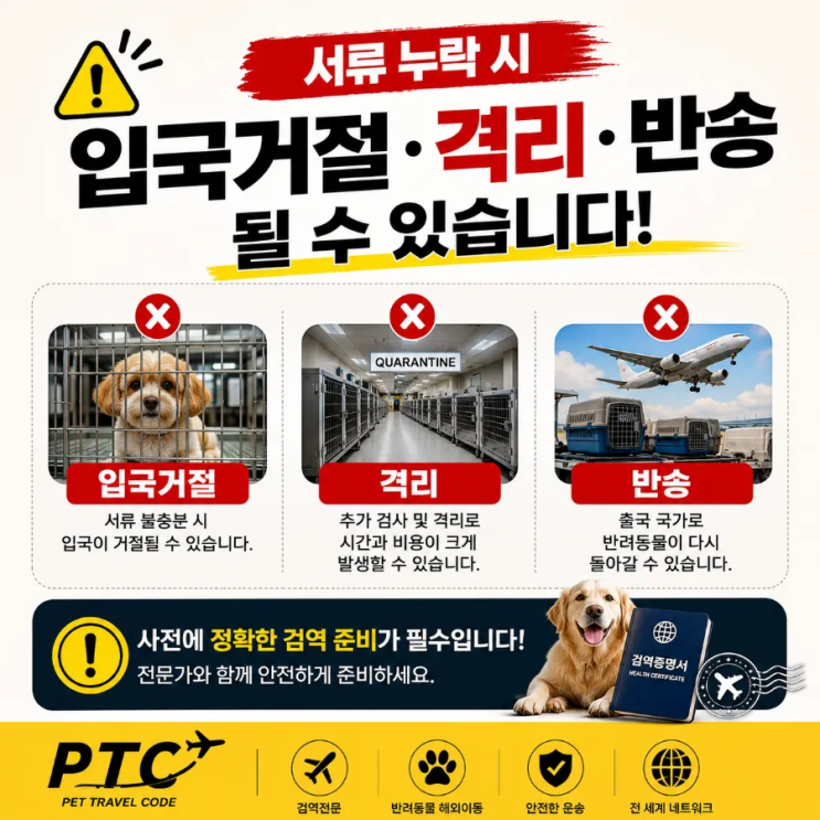  반려동물 (강아지 고양이) 해외이동 전 꼭 확인해야 하는 검역서류 3가지