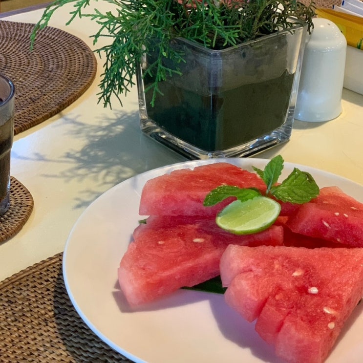  수박 효능 칼로리 수분 당류 함량