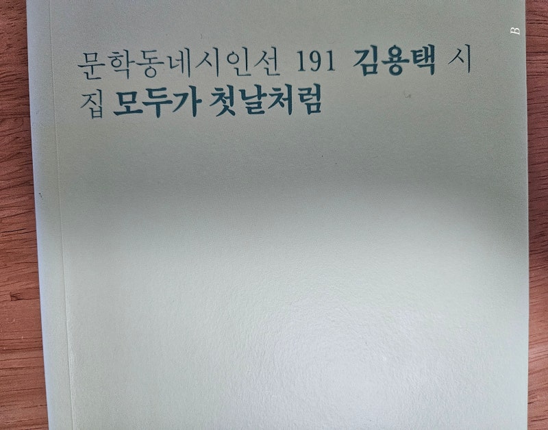 모두가 첫날처럼- 김용택 시집(문학동네시인선 191)