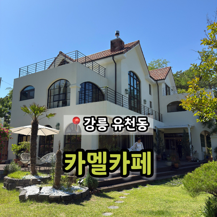 카멜카페 사진 1