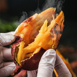  꿀 고구마 베니하루카 3kg 5kg - 황금빛 호박고구마