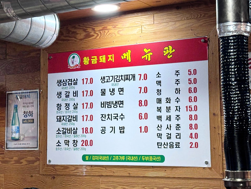 황금돼지 사진 3