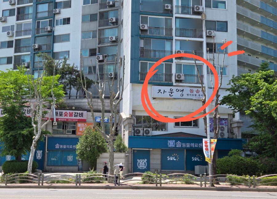 자운영 사진 2