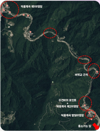 별드림캠핑장 사진 2