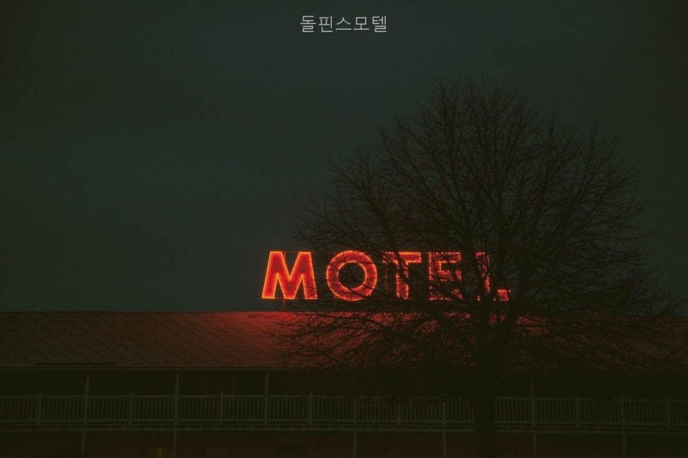 돌핀스모텔 사진 2