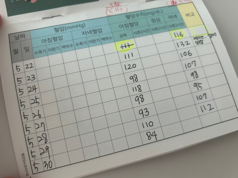 임신일기 018 | 공복혈당 낮추는 법 임당 산모 공복혈당 낮추기 임당 확진 임당 후기