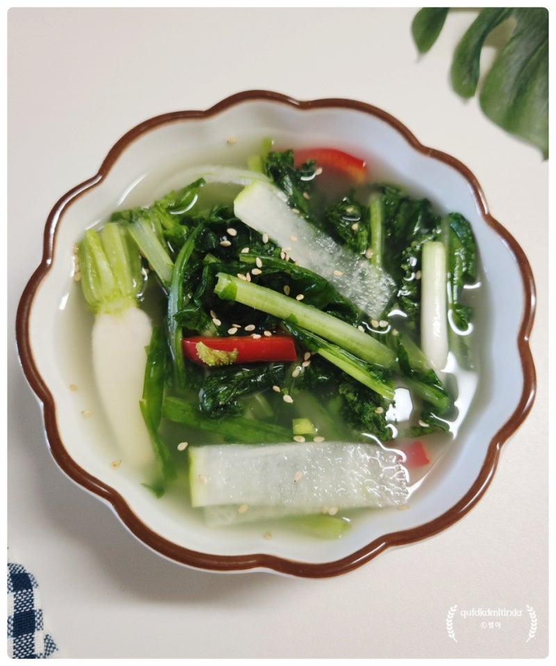 여름 열무김치 담그는법 | 아이도 잘 먹는 하얀 열무물김치 레시피