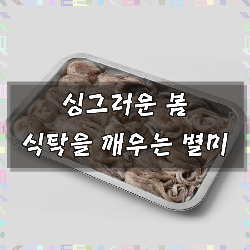 국내산 신선 급냉 쭈꾸미 산지직송 2026년 햇쭈꾸미, 1개, 1kg (수분포함)