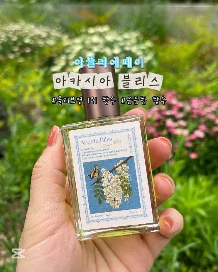  아카시아 향수 아뜰리에페이 아카시아블리스 은은한 올리브영 1위 향수 후기