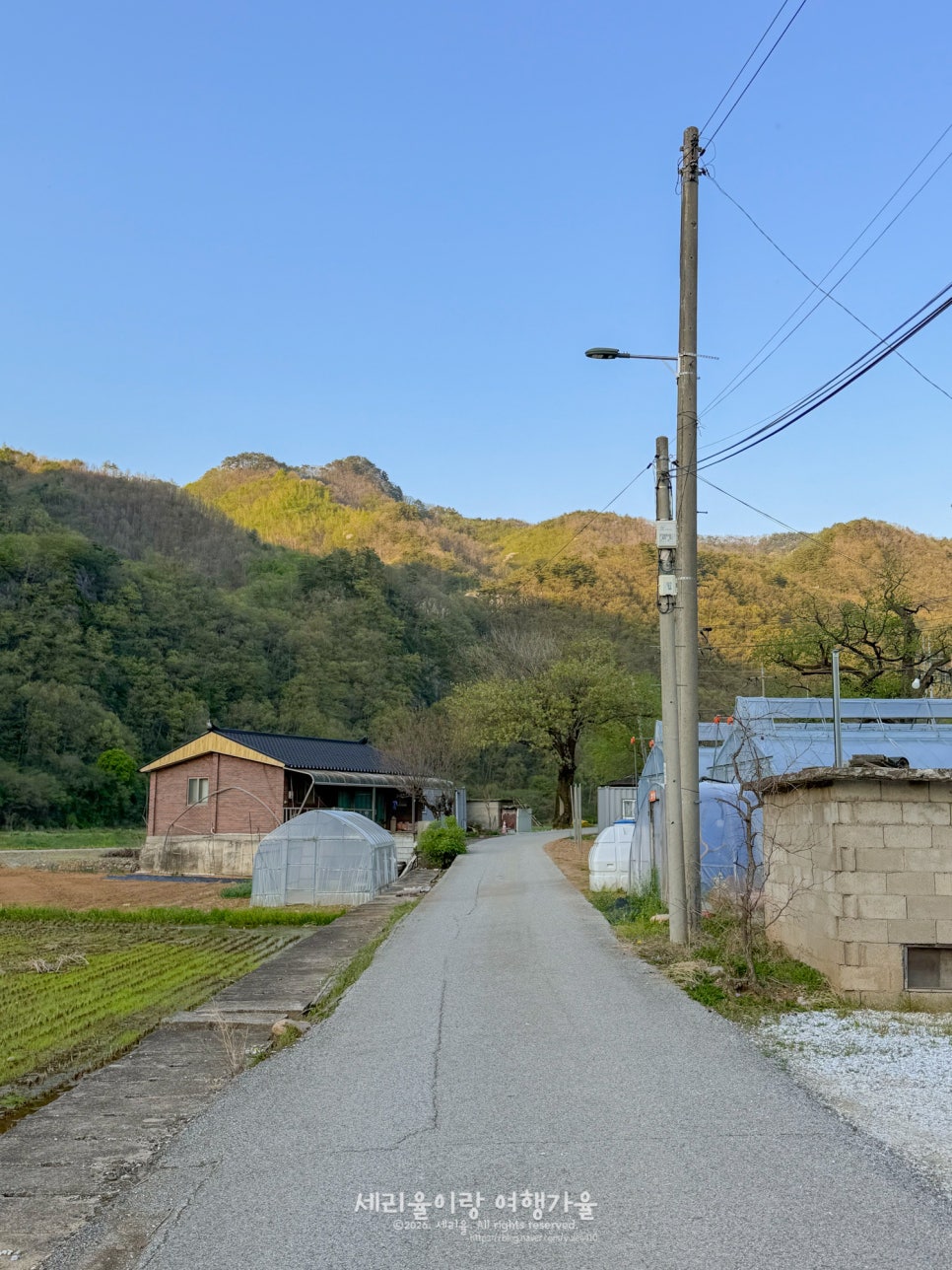 별길따라 사진 3