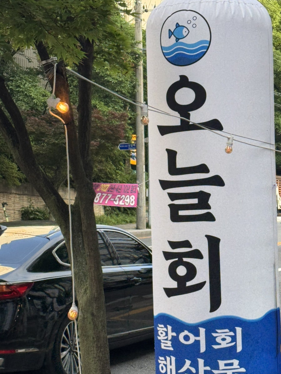 오늘회 사진 4