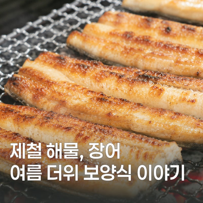 여름 보양식 장어 효능과 보관법 정리