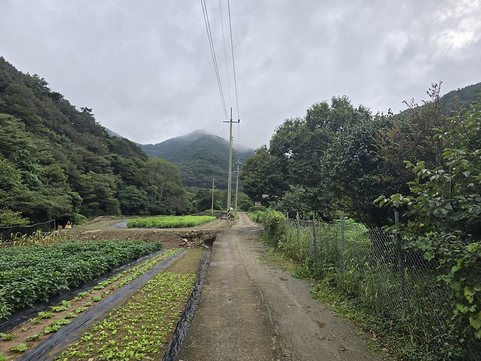 덕룡산 사진 6