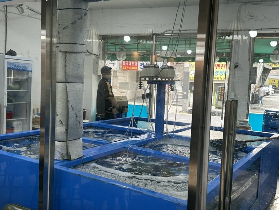 두꺼비수산 사진 3