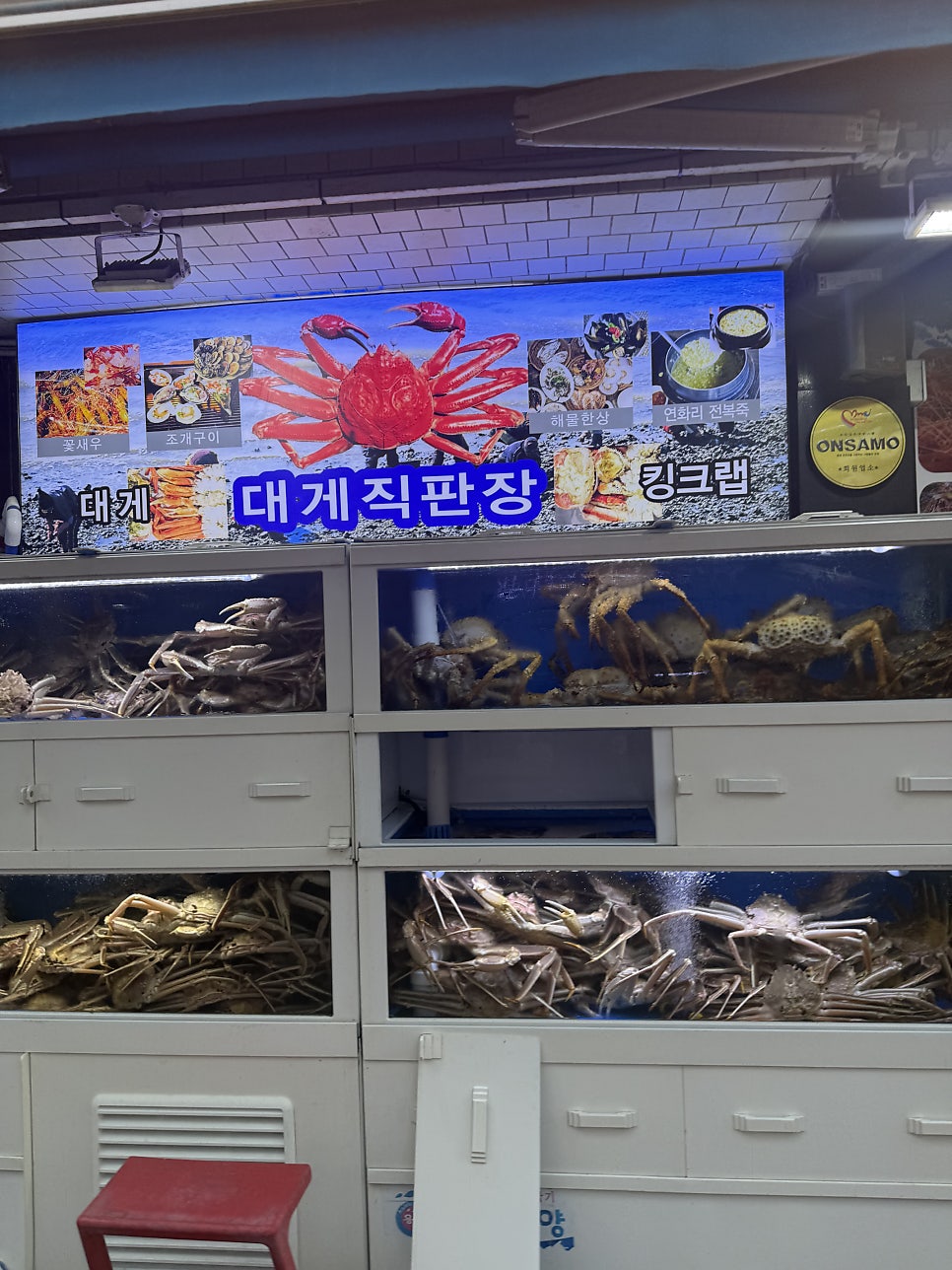 연화리대게 사진 5